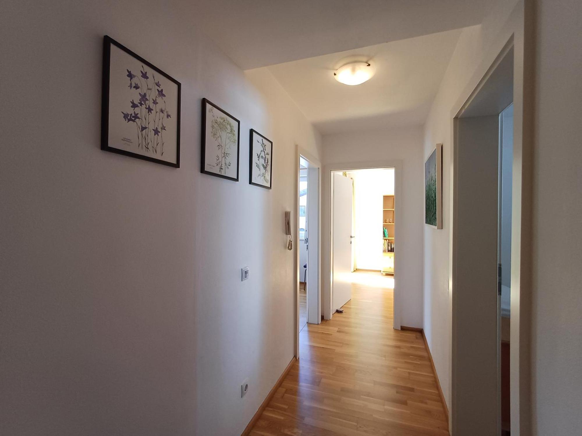 Pine Zell Am - Steinbock Apartment